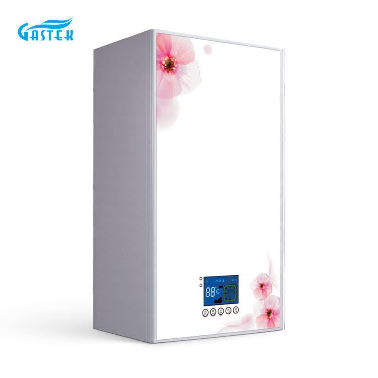 Fitur boiler gas (3)