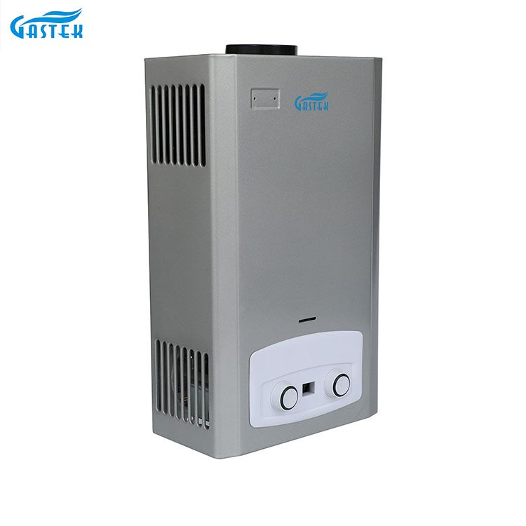 Home Appliance Flue Type Wall Mounted Natural LPG Gas Geyser kanggo Shower Bathing