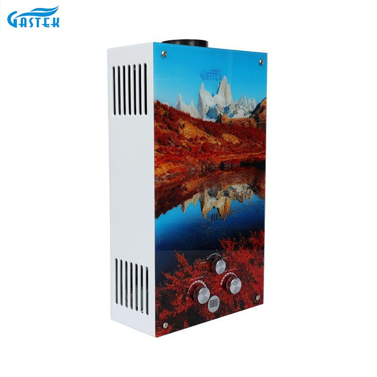 Flue Type 12L Panel Kaca Ukuran Kompak Gas Hot Water Heater