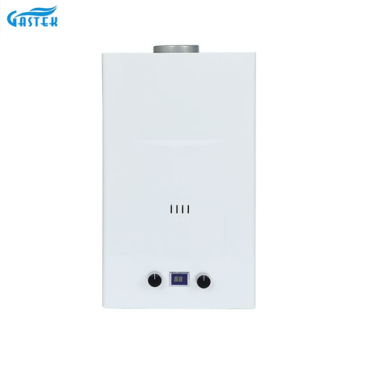 Flue jinis 6l 8L 10L 12L 16L 18L 20L tankless instan geyser geyser kanggo padusan