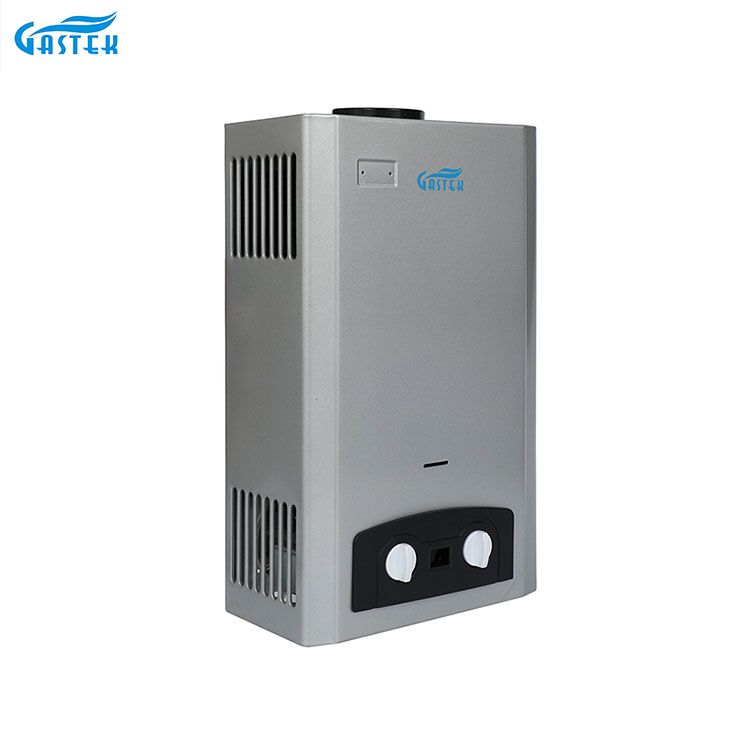 Home Appliance Flue Type Shower LPG Natural Gas Instan Water Heater