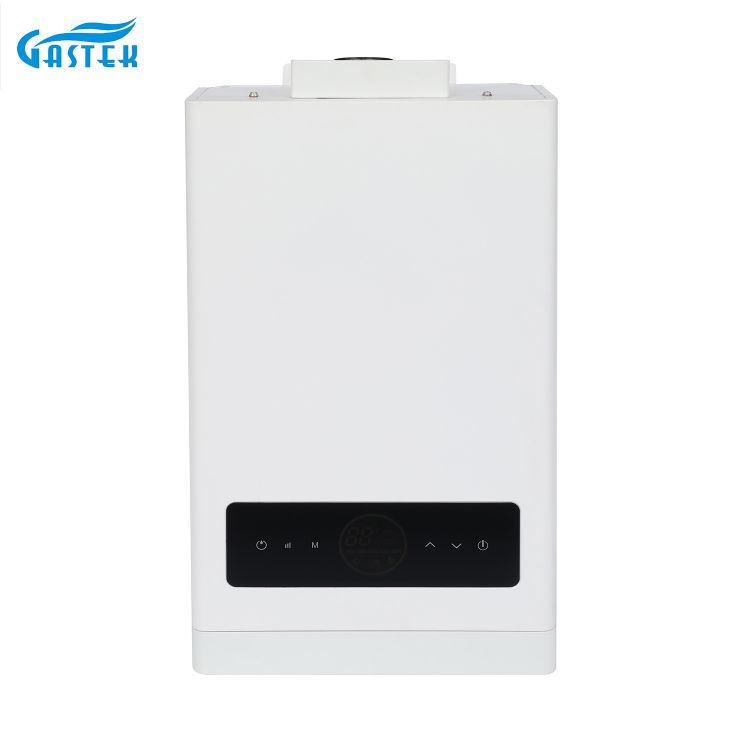 Tampilan Layar Tutul Suhu Pancet Dipeksa Tipe Tankless Gas Water Heater karo Turbo