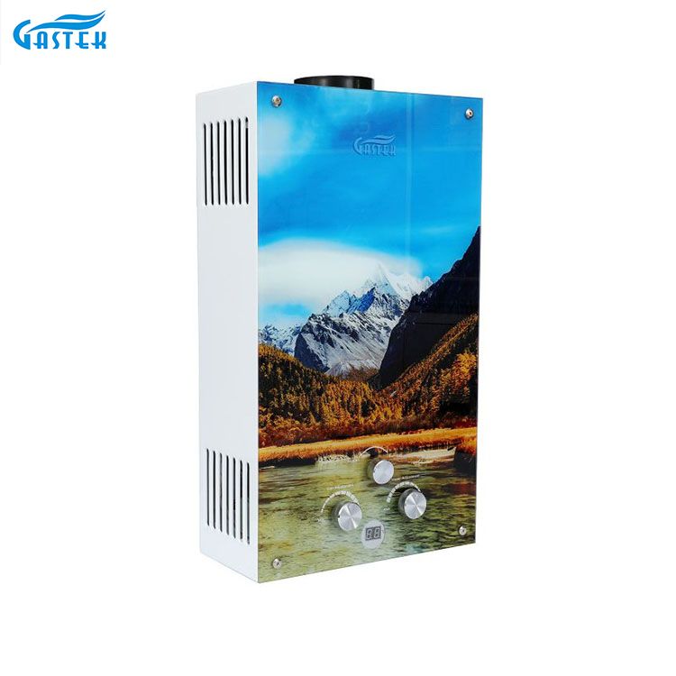 Tankless Flue Tipe Kaca Panel Gas Water Heater Grosir Gas Gayser kanggo Pawon