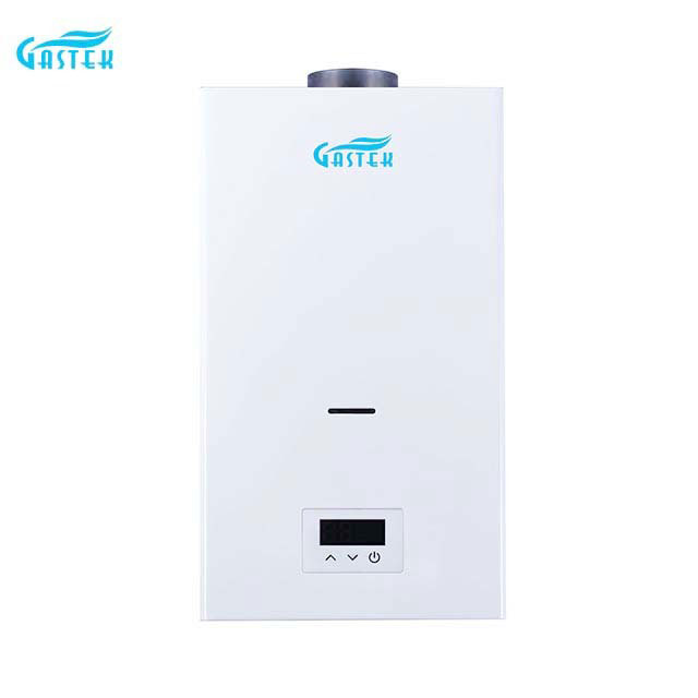 Suhu Konstan 10L 12L 16L 18L Hot Sale Flue Type Wall Mounted Tankless Instan LPG Natural Hot Water Gas Water Heater kanggo Shower