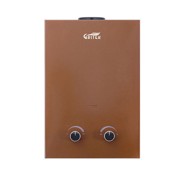 Flue Type 6L Tankless Hot Water Shower Gas Geyser