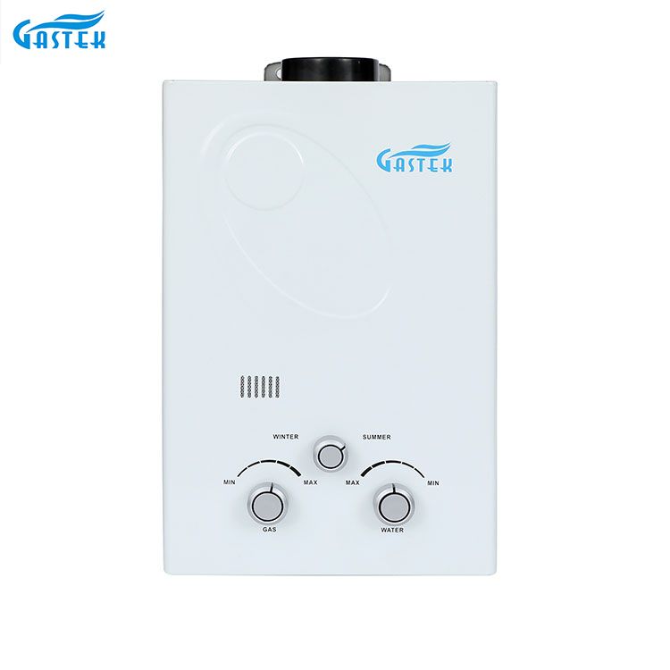Flue Type Wall Mounted 6L 10L 12L 16L 20L LPG Instant Gas Water Heater kanggo Pancuran