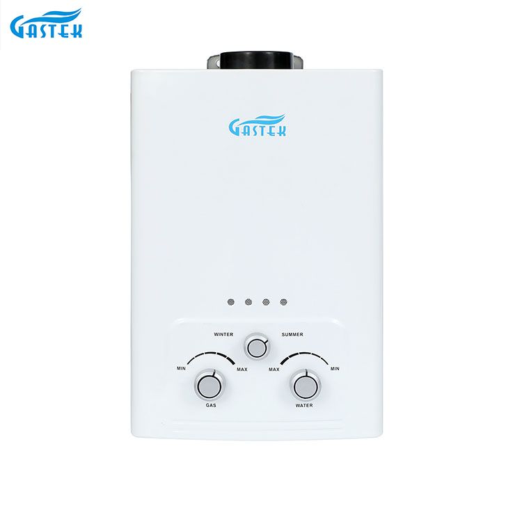 Flue Type Wall Mounted 6L 10L 12L 16L 20L LPG Tankless Instant Boiler Gas kanggo Shower Bathing