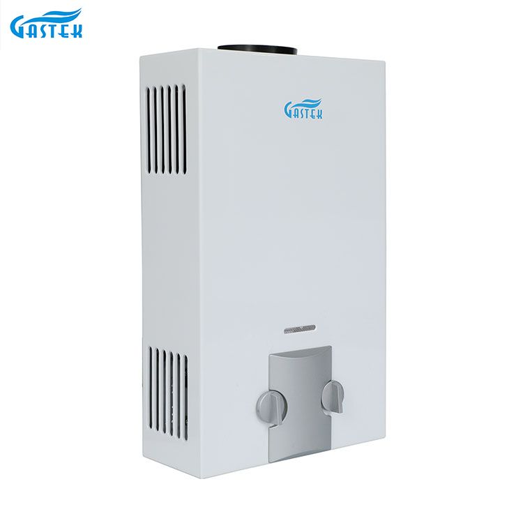 Pabrik Peralatan Omah OEM ODM Tipe Flue dipasang ing tembok 6L 10L 12L 16L 20L LPG Tankless Instant Gas Geyser kanggo Pancuran