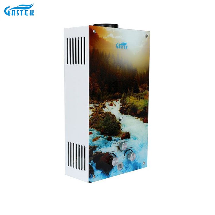 Flue Type Wall Mounted Instant Gas Water Heater kanggo Shower Bathing